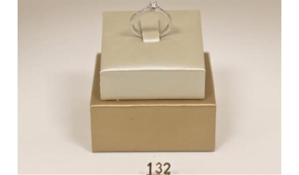 zilverkleurige ring m56, 0,07Ct (WKP 1127€)